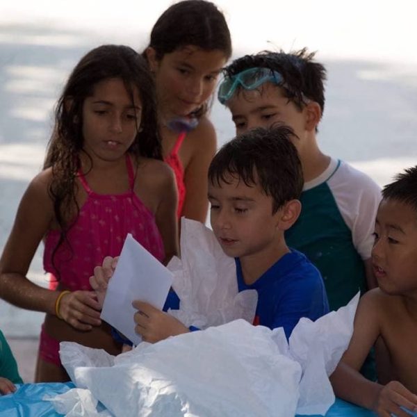 dive swimm aquatic gallery