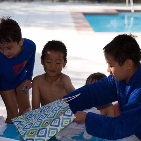 dive swimm aquatic gallery